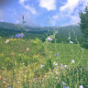 Meet your Posher, Cassandra